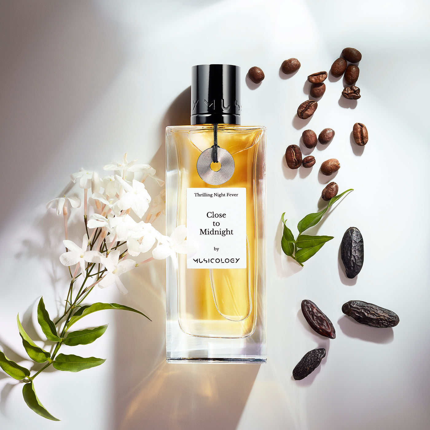 Close To Midnight - EDP95ml – MUSICOLOGY PARFUMS
